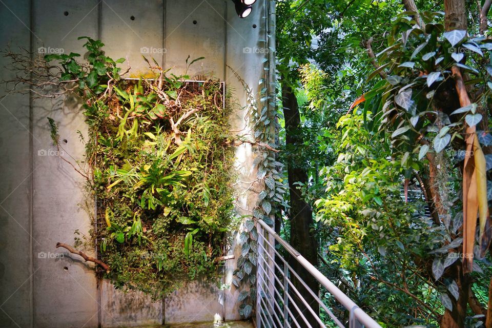 Living Wall Of Tropical Pants