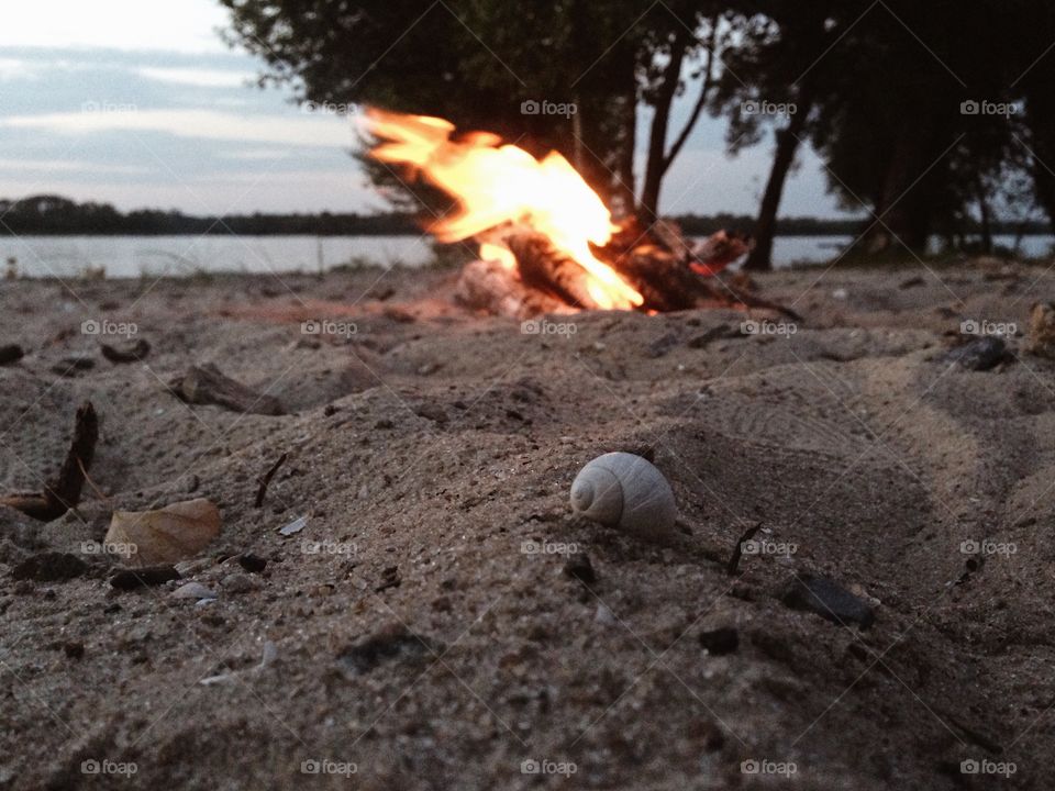 Fire and shell