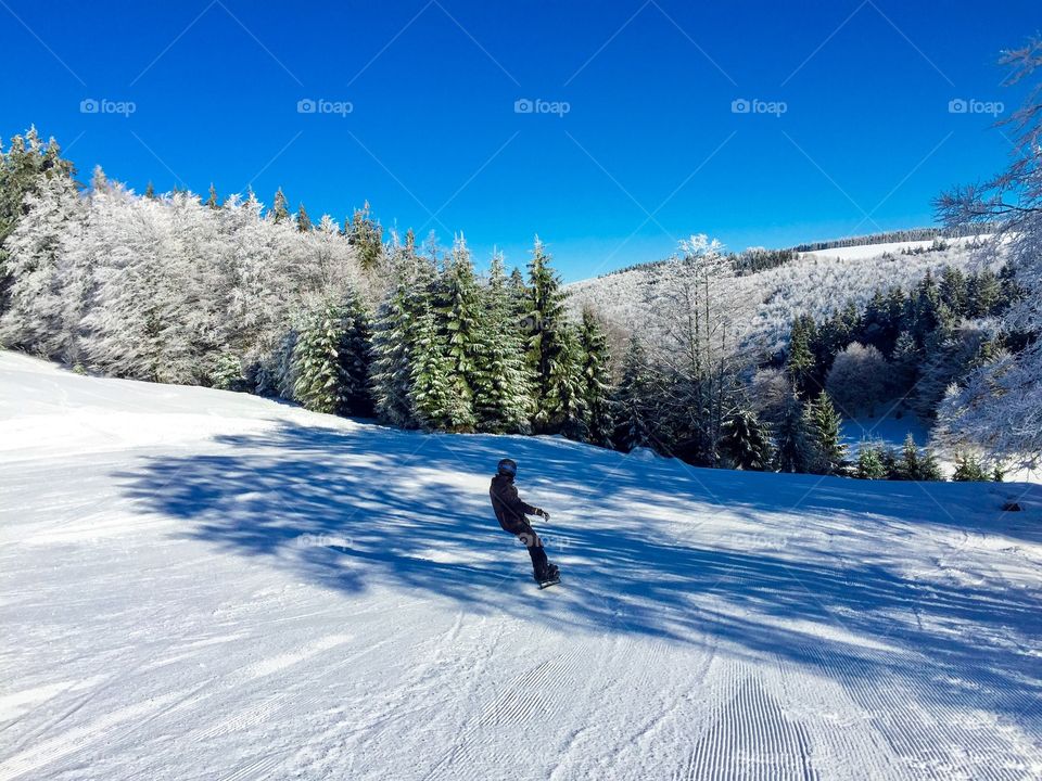 Man with snowboard going down the slope surrounded by trees covered in snow 