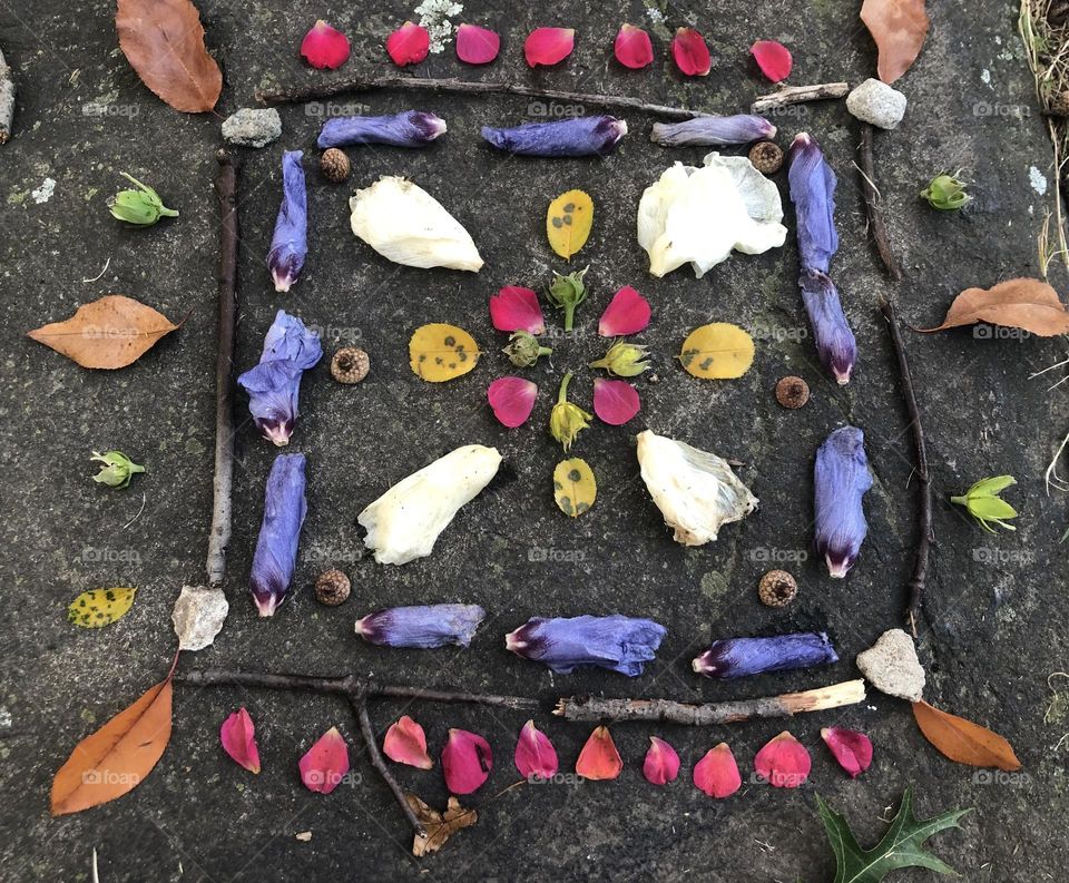 Morning altar of summer