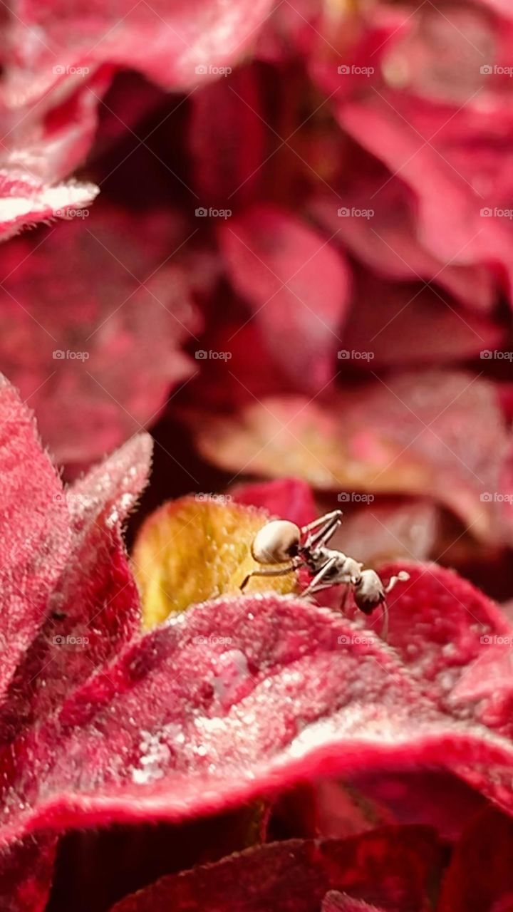 Photos of daily lives