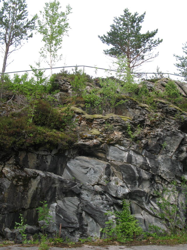 Nature
