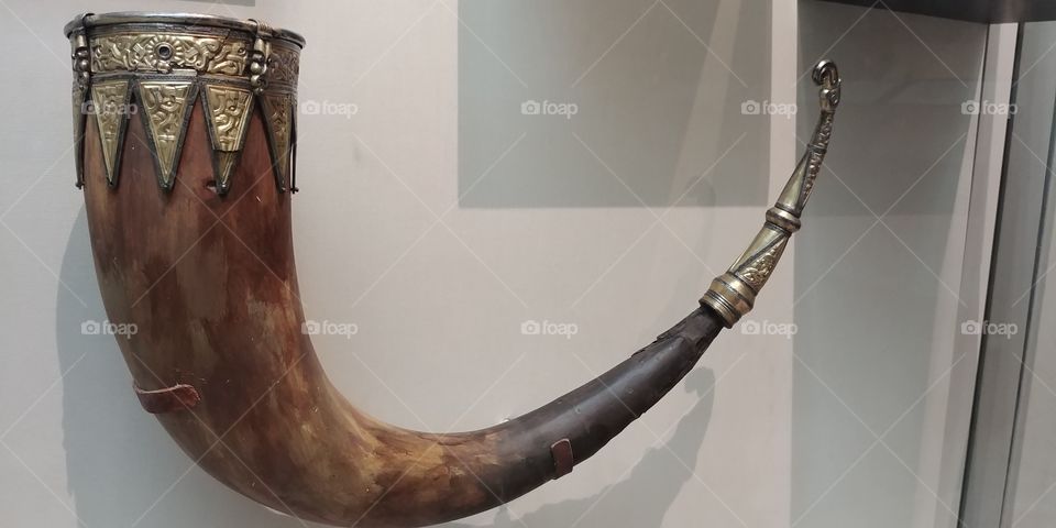 viking drinking horn in museum display case