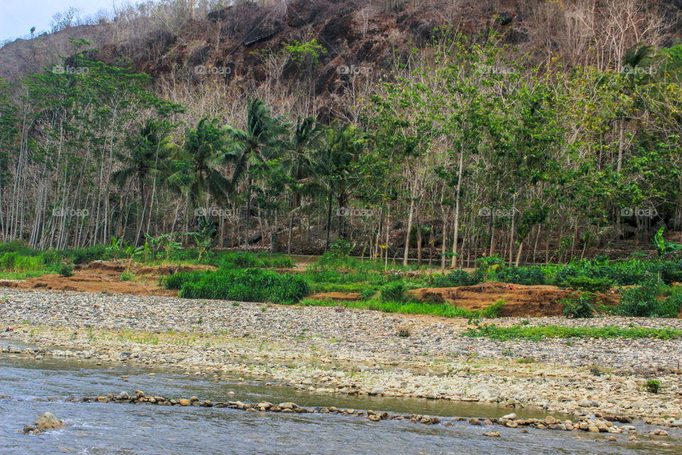 Sungai yang terdapat di Kebun Buah Mangunan, masih mengalir dipenghujung musim panas.