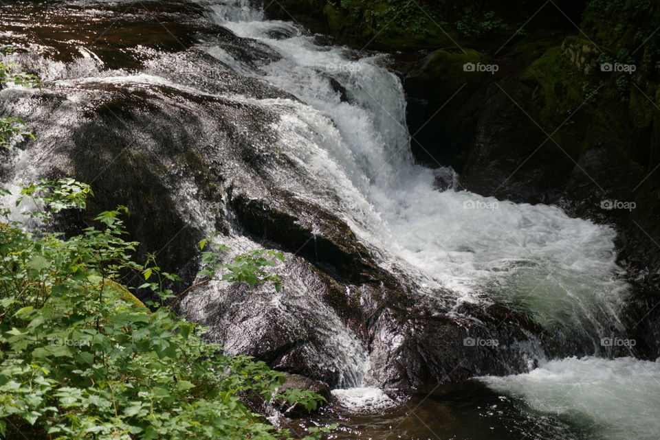 Falls. Creek falls Mapleton