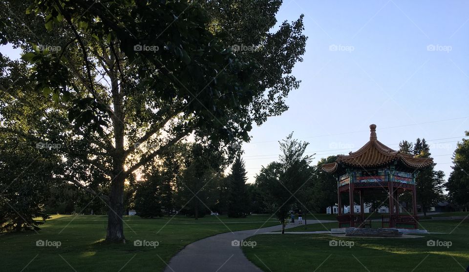 Tree, No Person, Outdoors, Landscape, Home