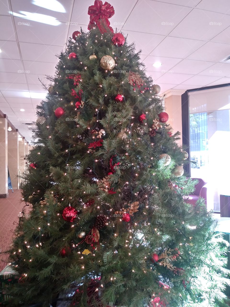 Beautiful Christmas Tree in a hotel lobby