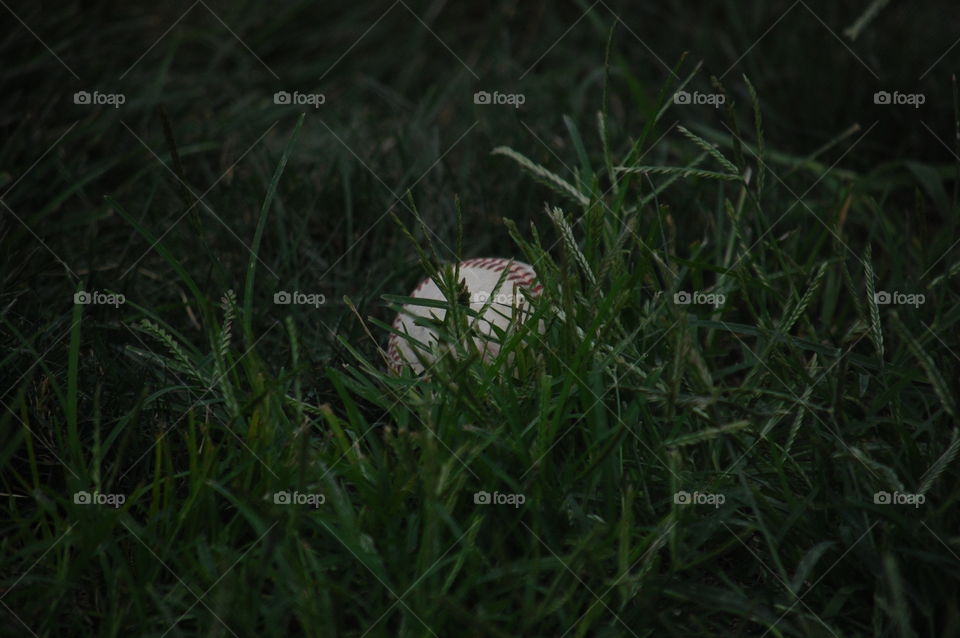 Baseball in grass