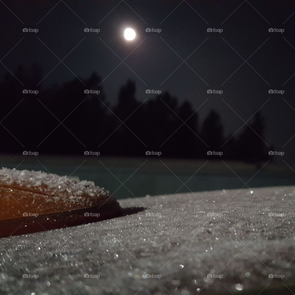 moonlit frost