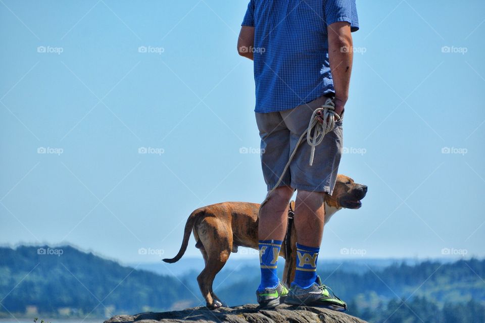 Dog at the summit