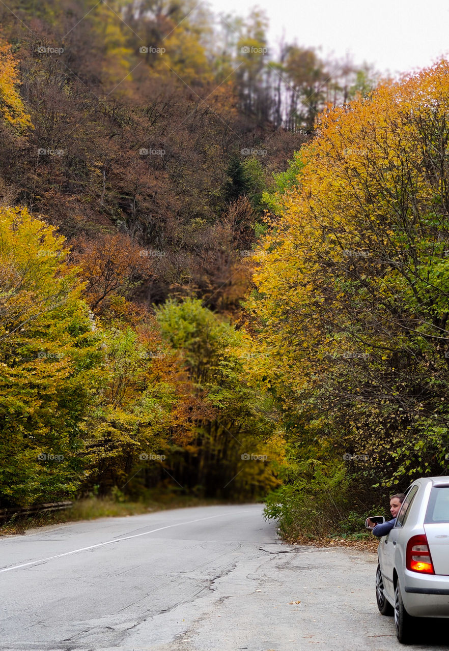 On the autumn road