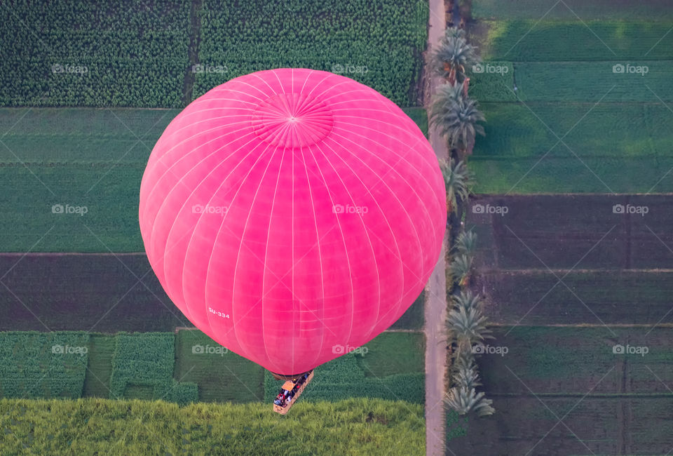 Colorful ballon above beautiful plantation texture background