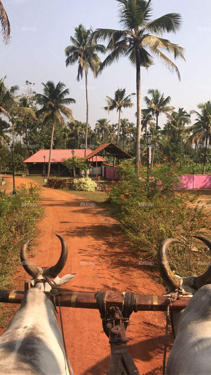 Retreat in kerala, india 