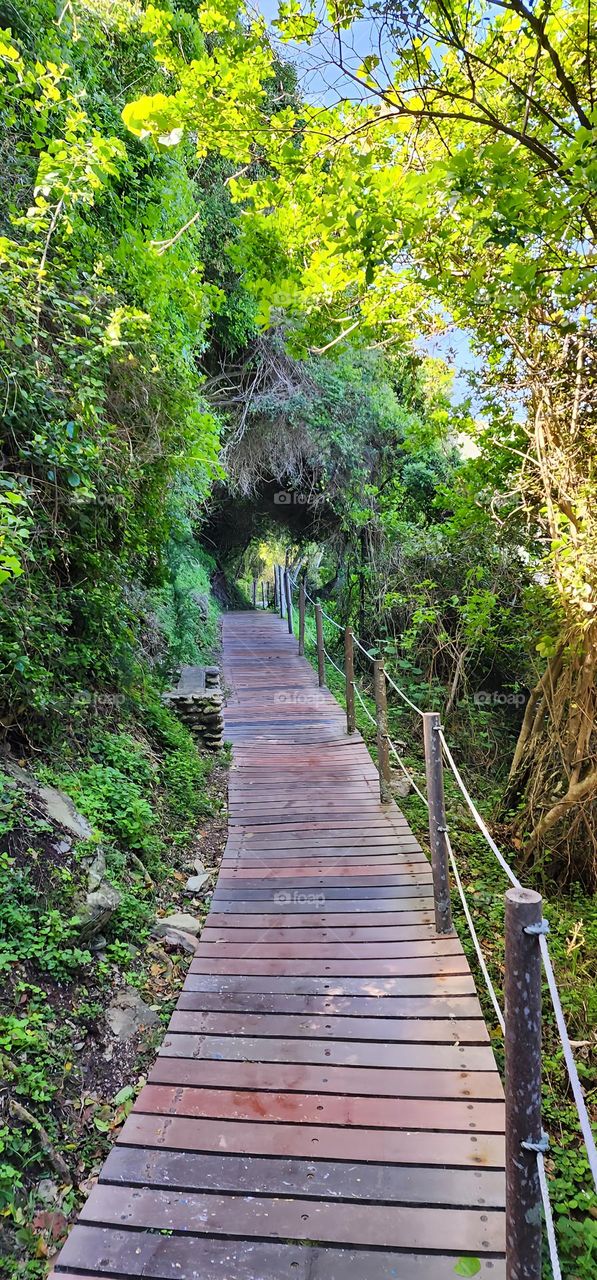 Beautiful walk trail in Stormsriver National Park in South Africa