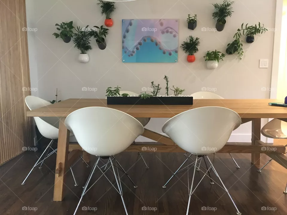 Plants