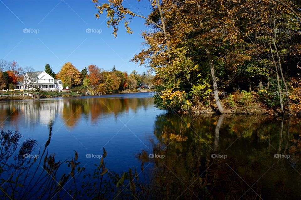 Fall, Tree, Nature, Lake, No Person