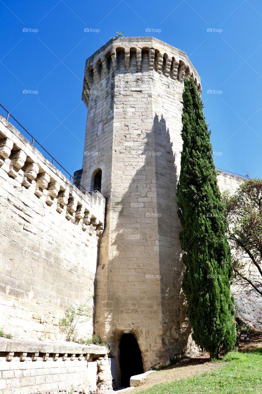 Avignon, city of the popes