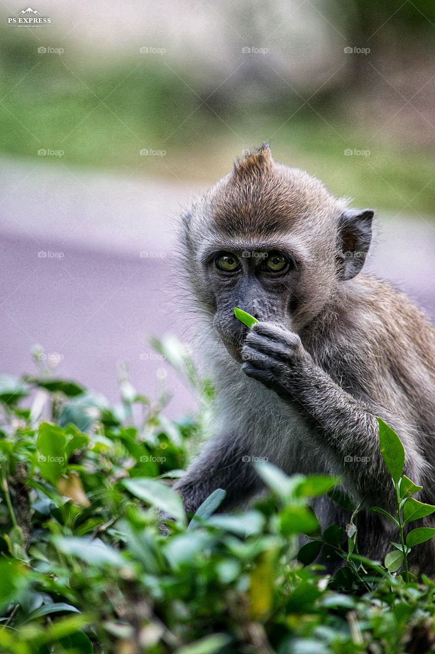 Smells like spring to me!