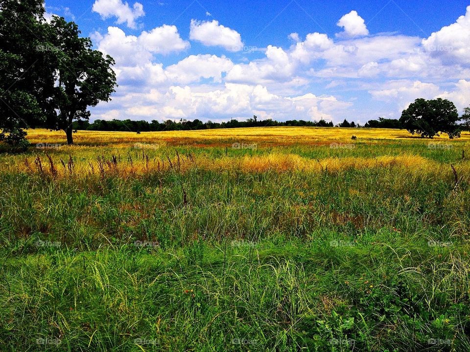 Texas landscape. Texas landscape 