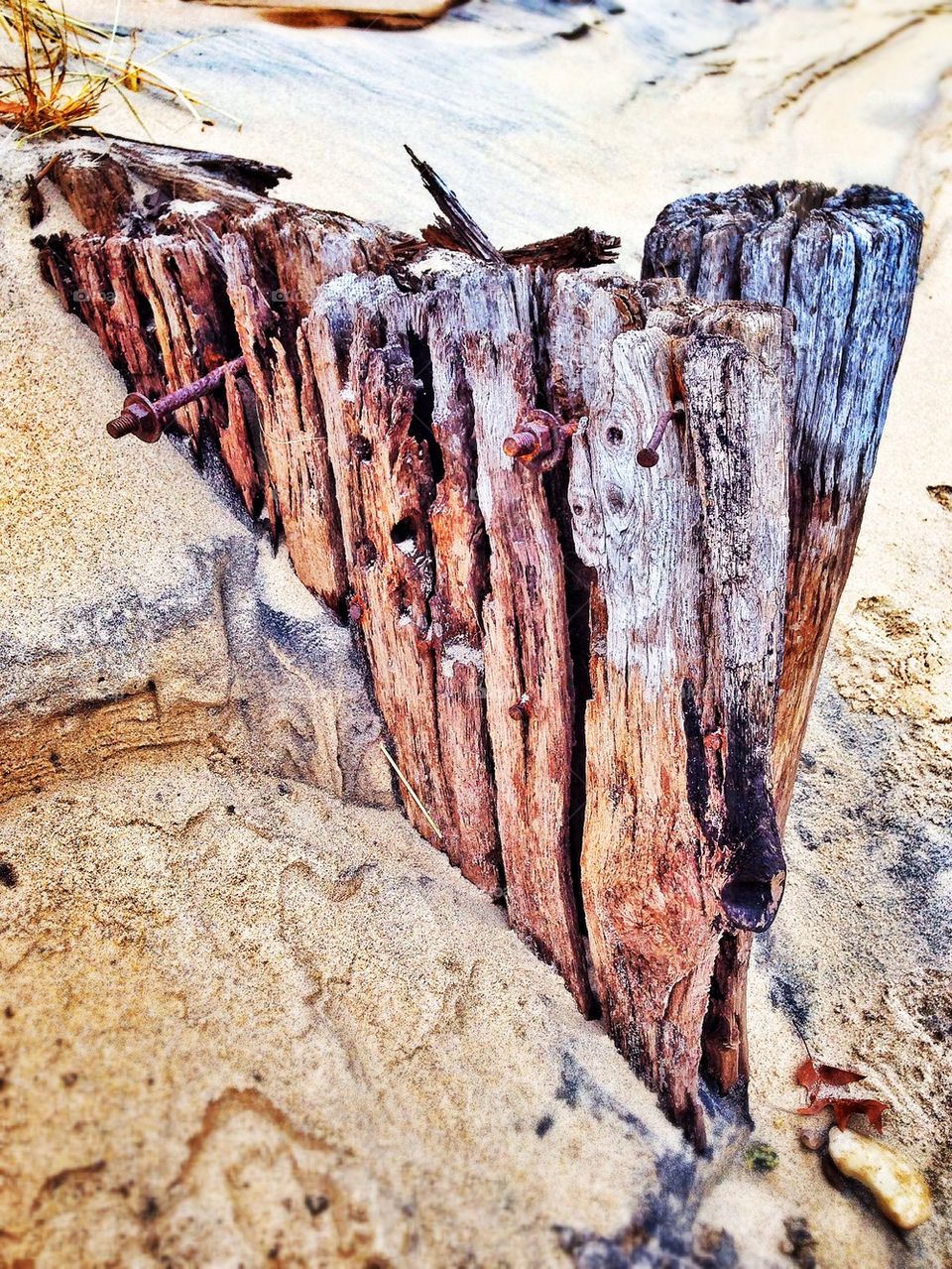 A remnant of the past