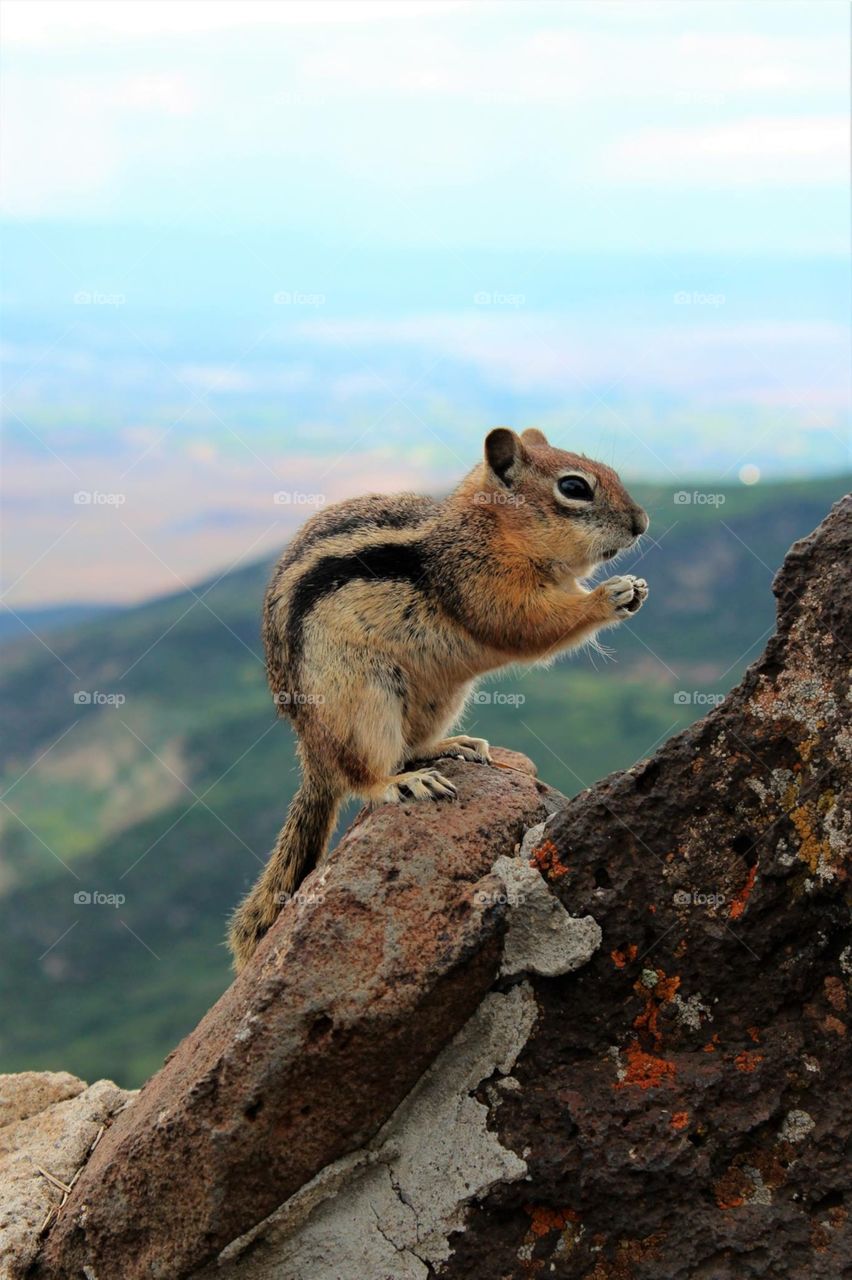 Lands End - Grand Mesa 