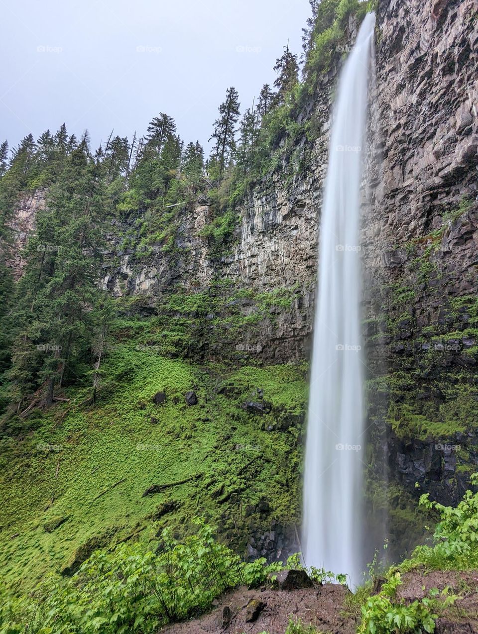 long exposure waterfall time lapse falls with mossy green foliage in the Pacific northwest