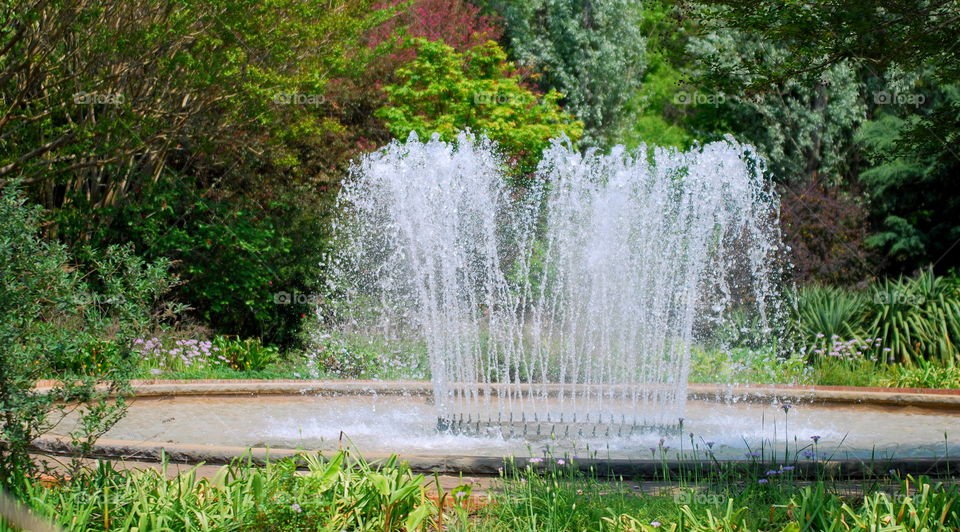 water fountain