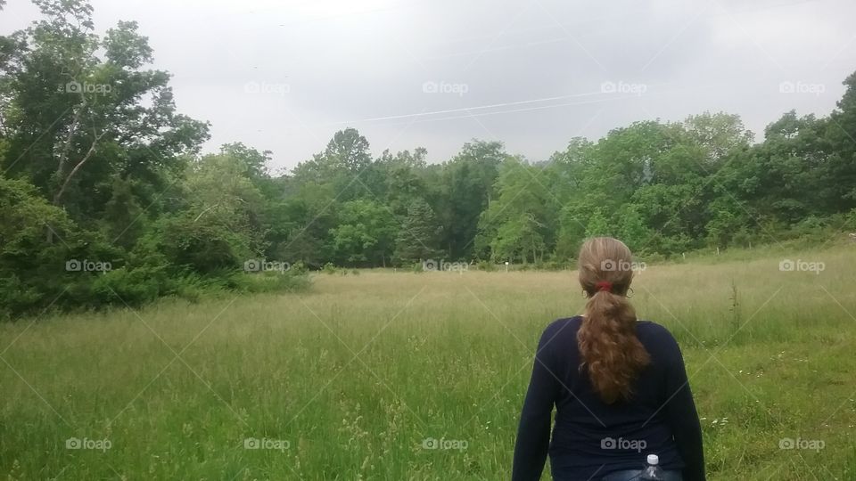 Exploring the Elements