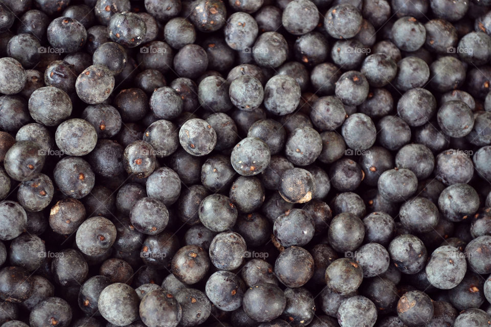 seeds of acai berry