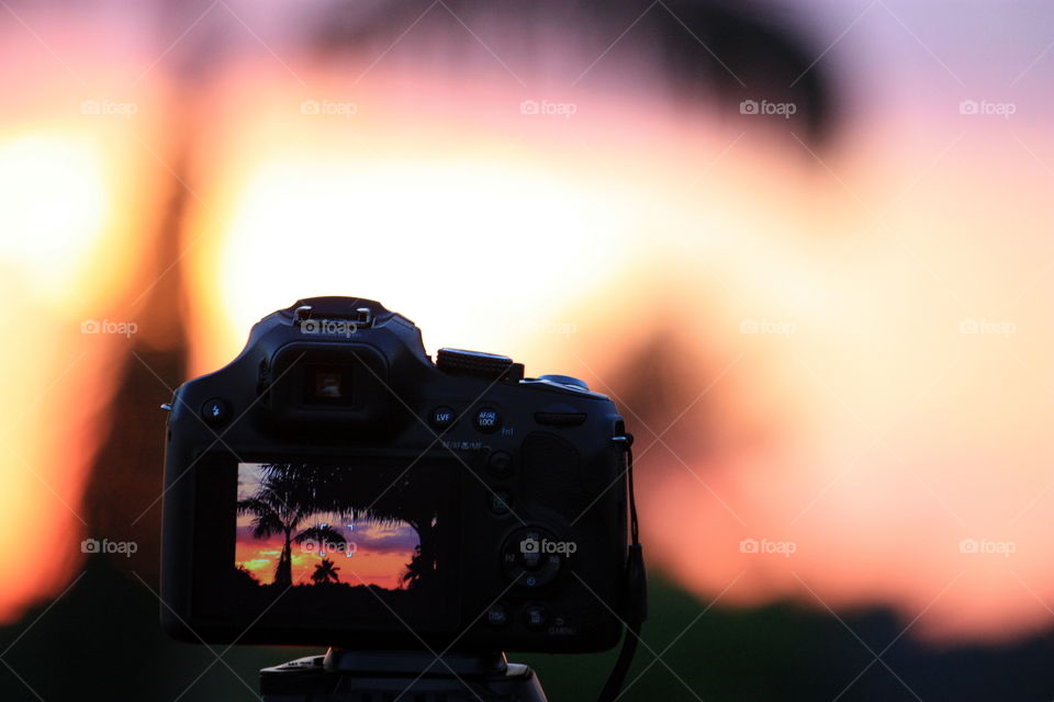 Camera sunset