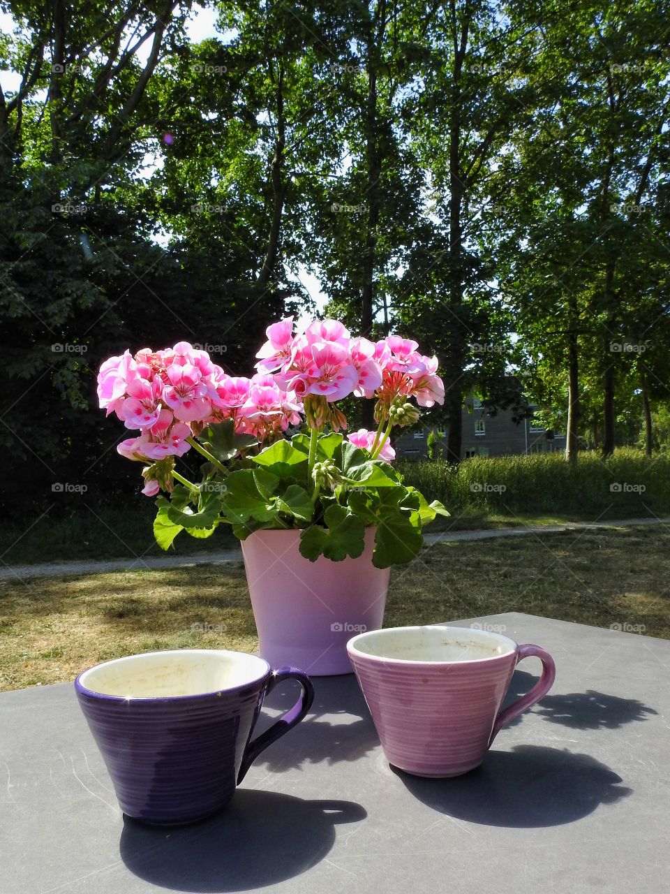 Coffee cup besides flower pot