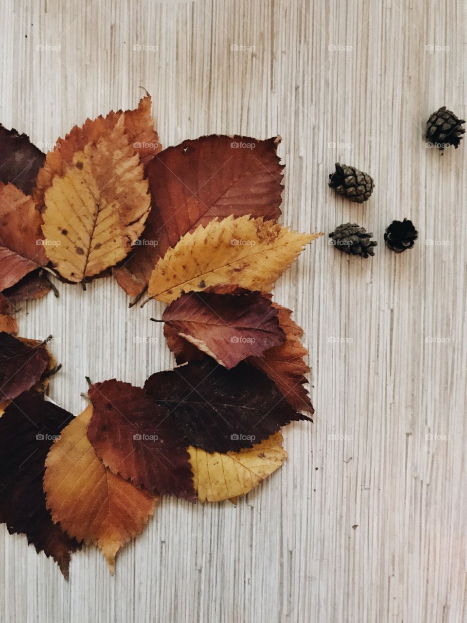 Fall wreath 