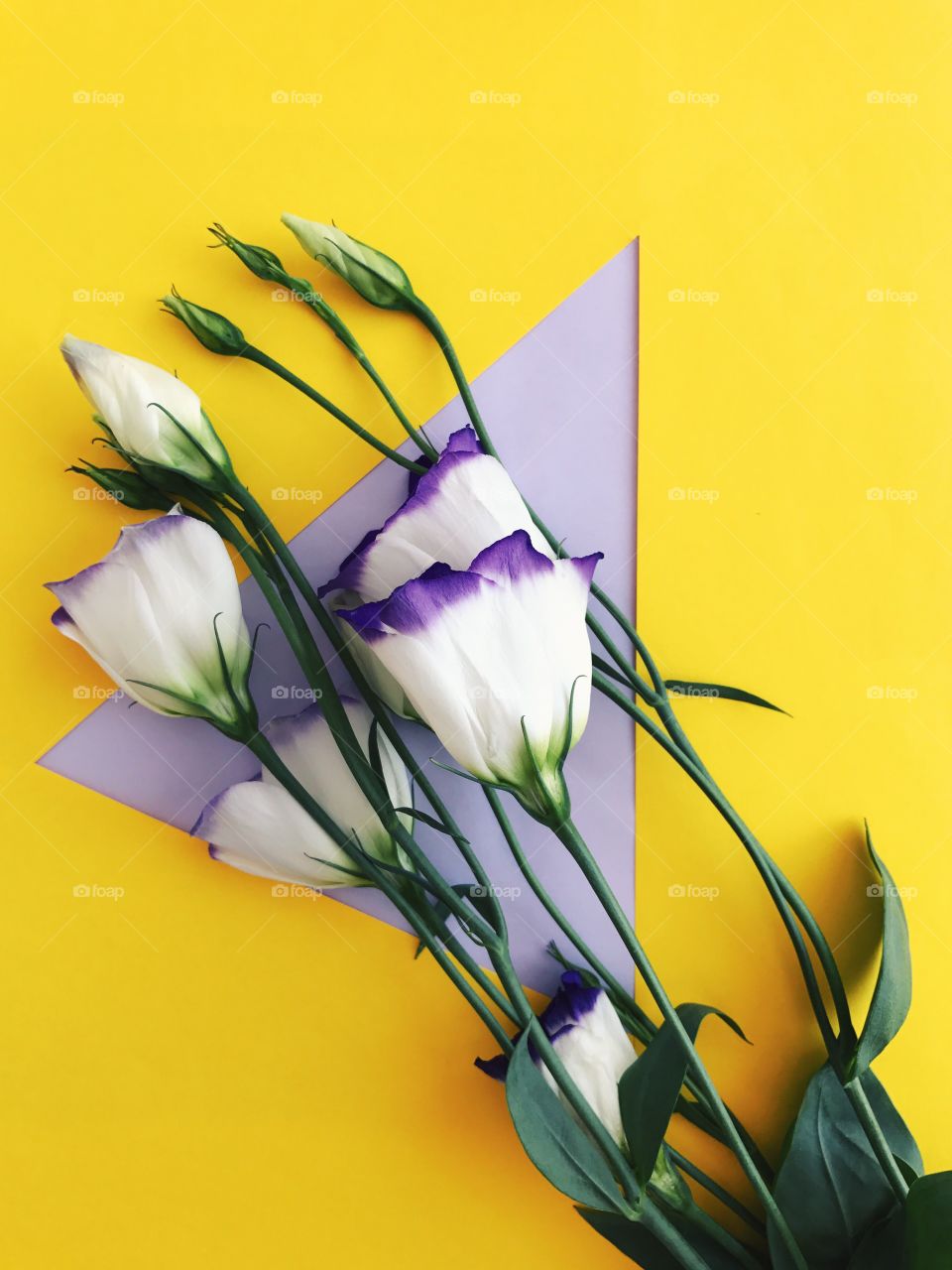 Top view of white and purple flower bouquet on vibrant yellow and purple triangle background 