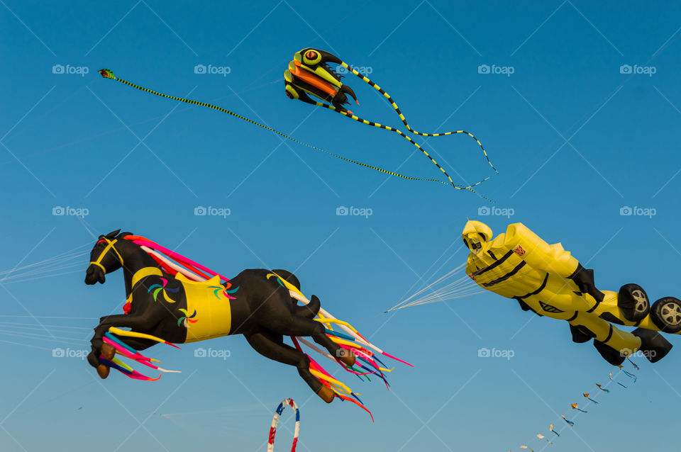 Horse,robot and other varieties of designer kites flying in the air.Let us get inspired from these kites and fly high.