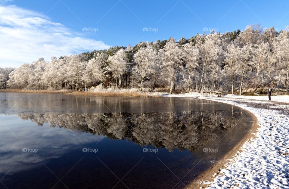 Enjoying a sunny cold winter day by the lake , beautiful forest reflection 