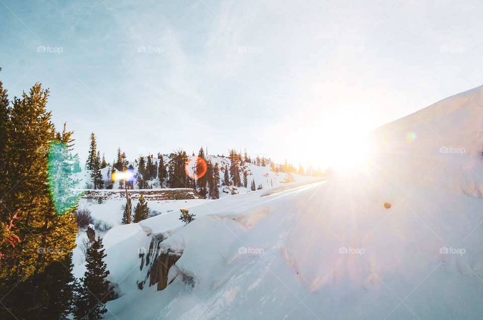 Sunny mountainside in Truckee, California 