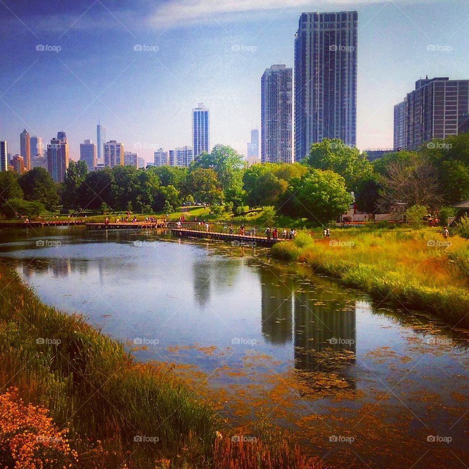 Chicago  Skyline 