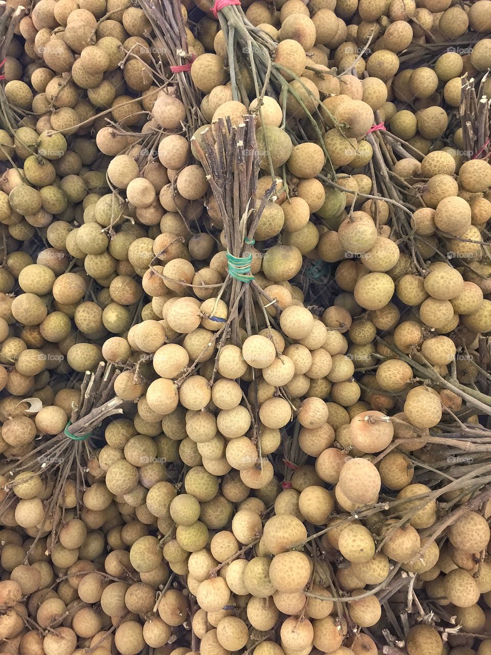 Fresh longan