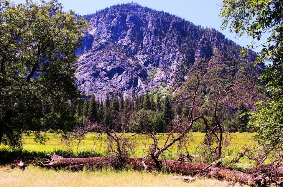 Ahwahnee meadow 