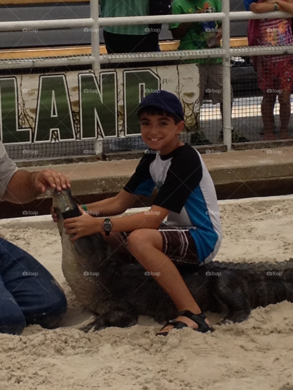 Alligator wrestling