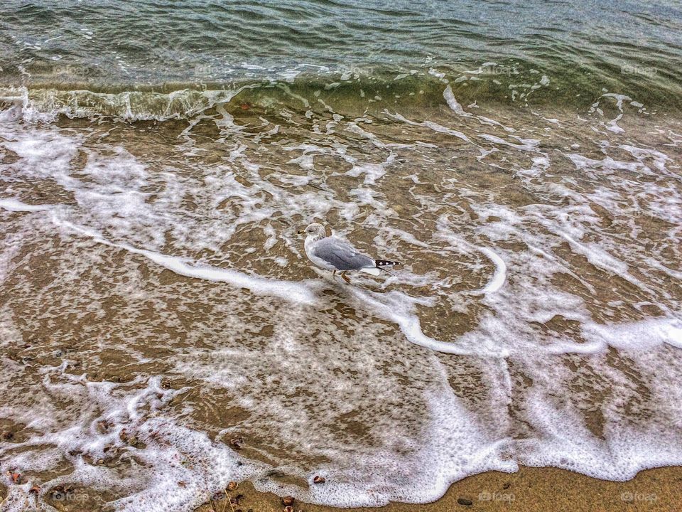 Walnut Beach, Milford CT