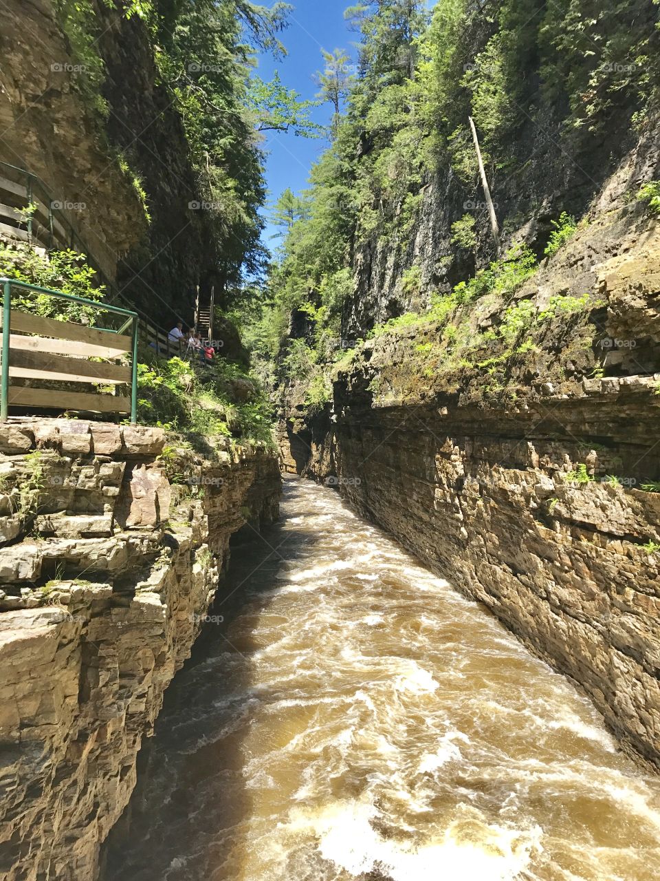 Ausable chasm ny