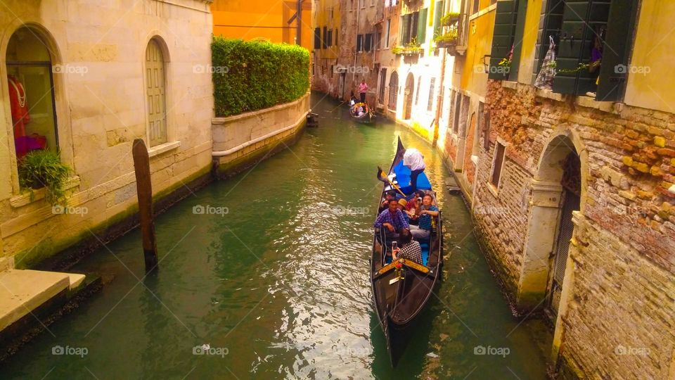 Trip of Venice