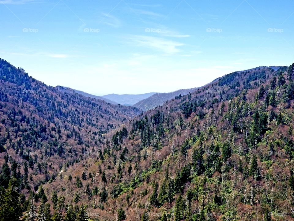 Breathtaking panoramic scenic sweeping views of vibrant blue skies of the mountsinside at the Great Smoky Mountain national park / forest over Tennessee.