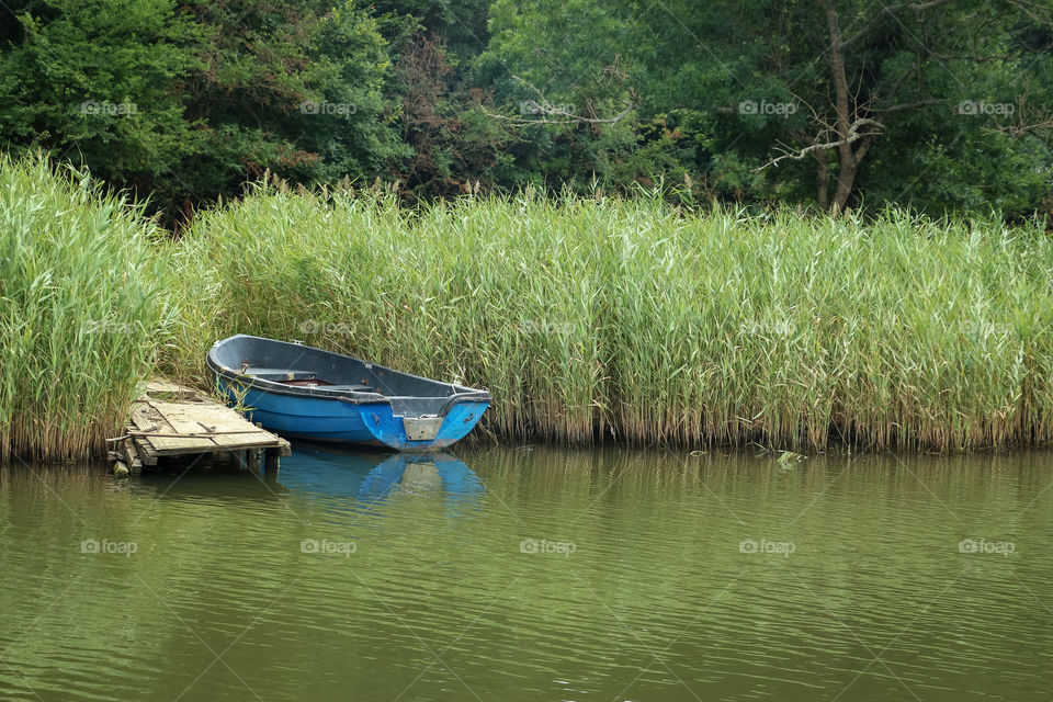 Blue boat in the river Ropotamo, Bulgaria,Europe