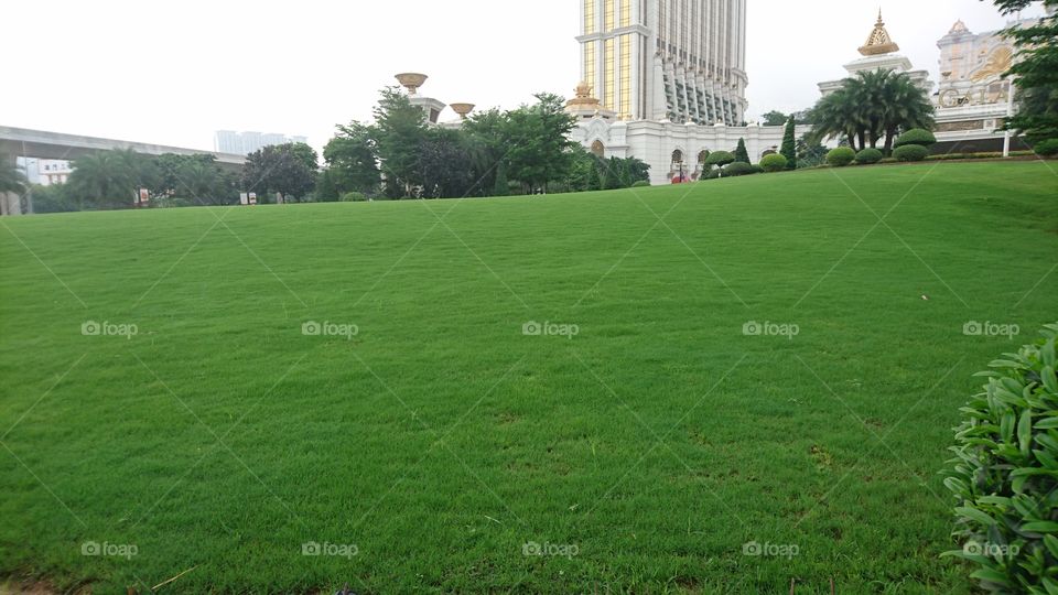 evergreen,,  a lawn of one among the wellknown. casino in Macau, located at. Marginal Flor de Lotus. Avenue