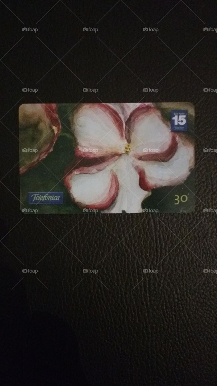 cartão telefônico