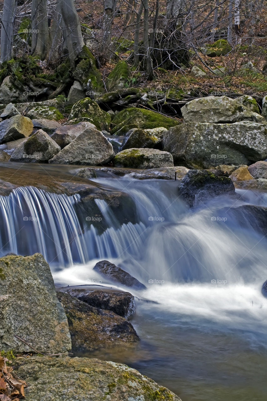 rapids in a stream