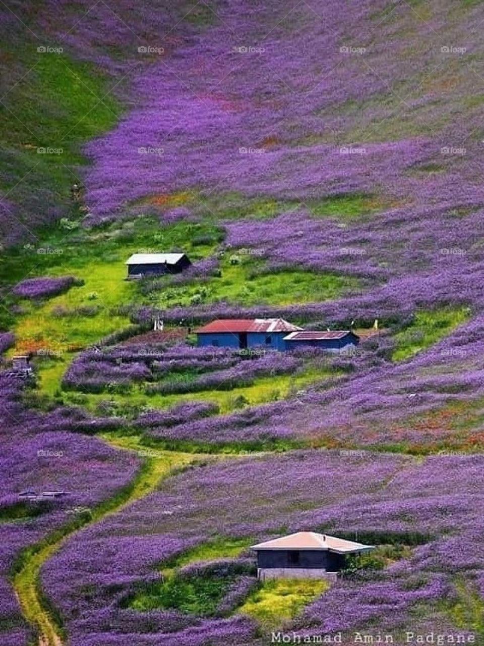 I think this is the most dreamy and beautiful road in the world, specially in spring, in this road you can see montains, fall and forest, full of beautiful flowers, this is my favorite road trip