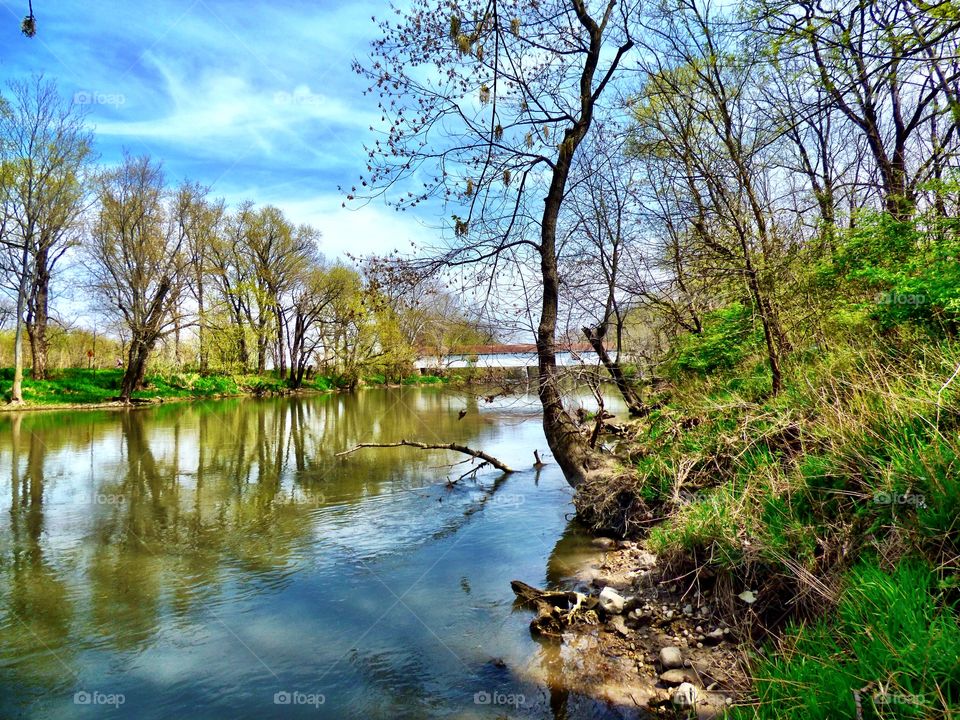 Springtime at the covered bridge in Indiana 